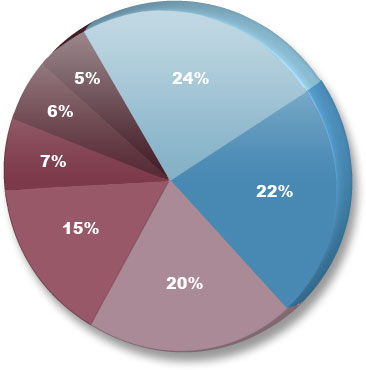 影響網(wǎng)站排名幾大因素圓餅圖